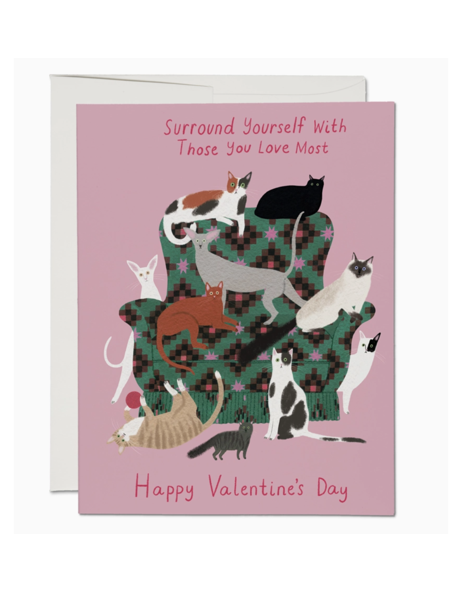 Surround Yourself Cats Valentine's Day Greeting Card