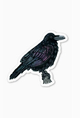 Raven Sticker