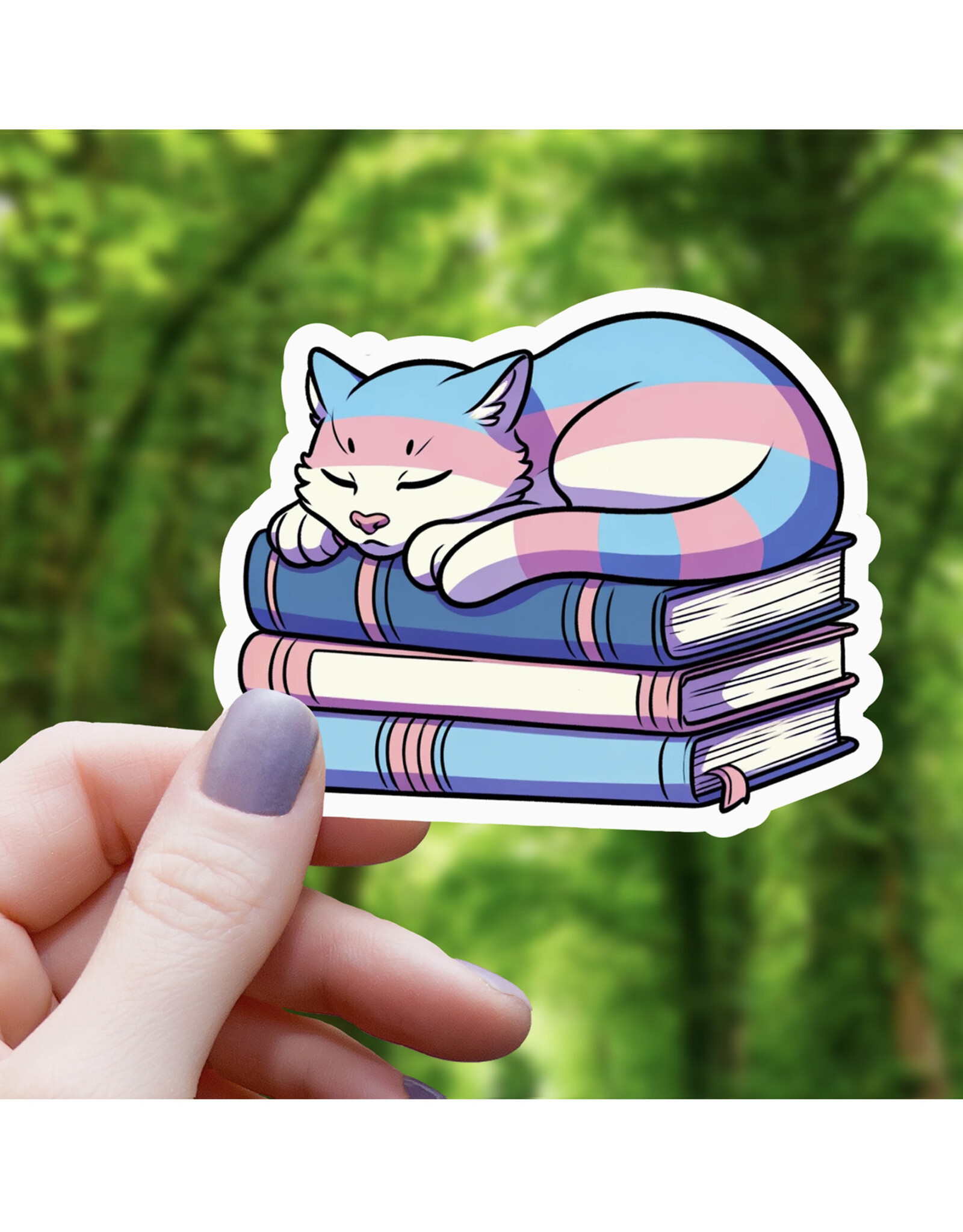Trans Pride Cat on Books Sticker
