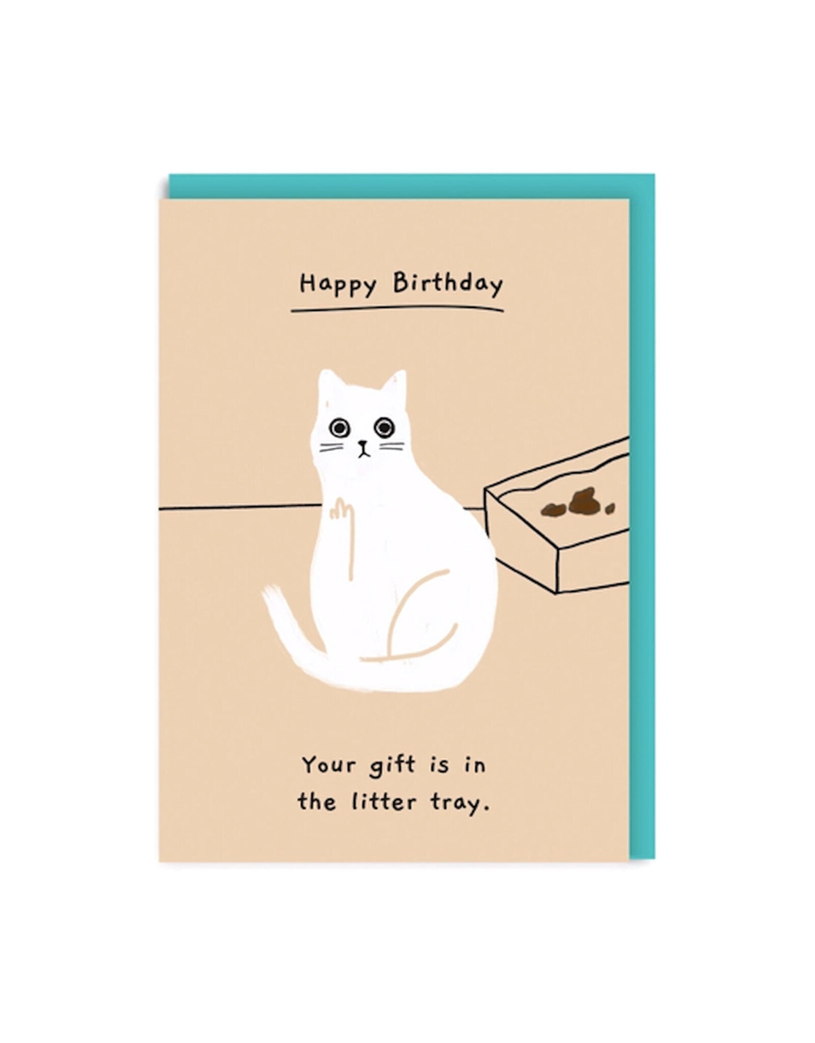 Gift Is in the Litter Tray Birthday Card