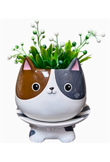 Cat's Meow Footsie Planter