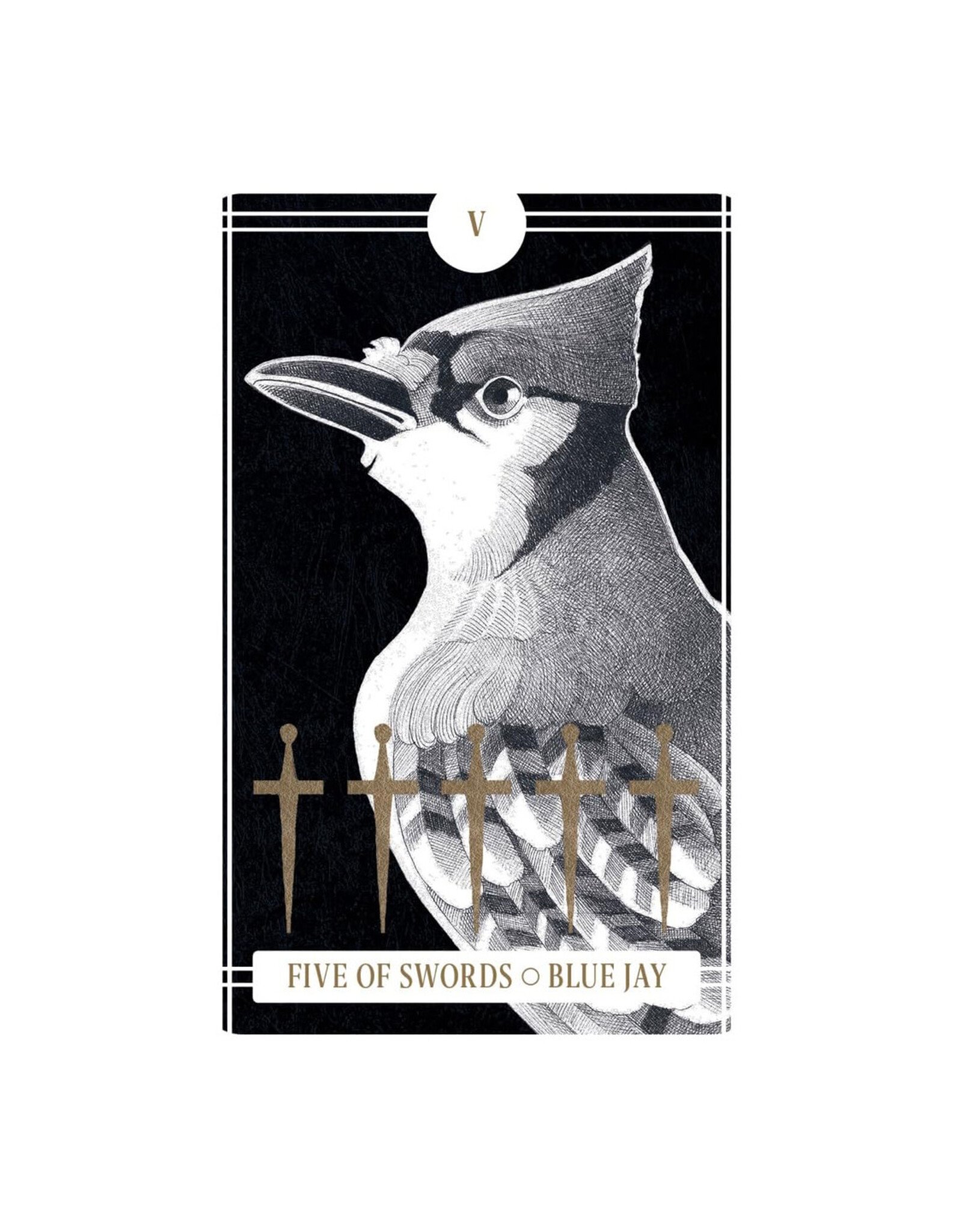 The Avian Tarot