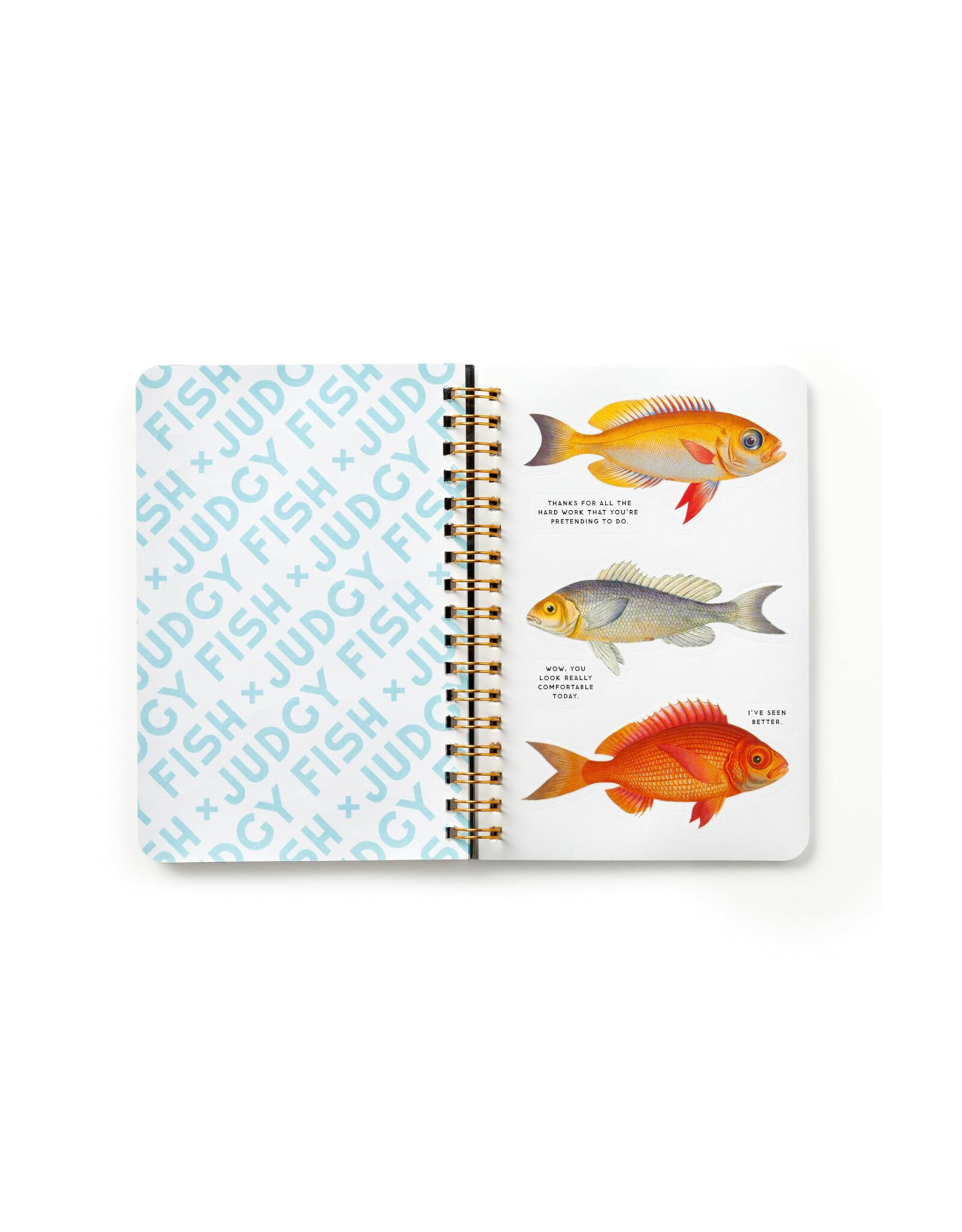 Judgy Fish Sticker Book