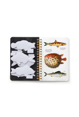 Judgy Fish Sticker Book