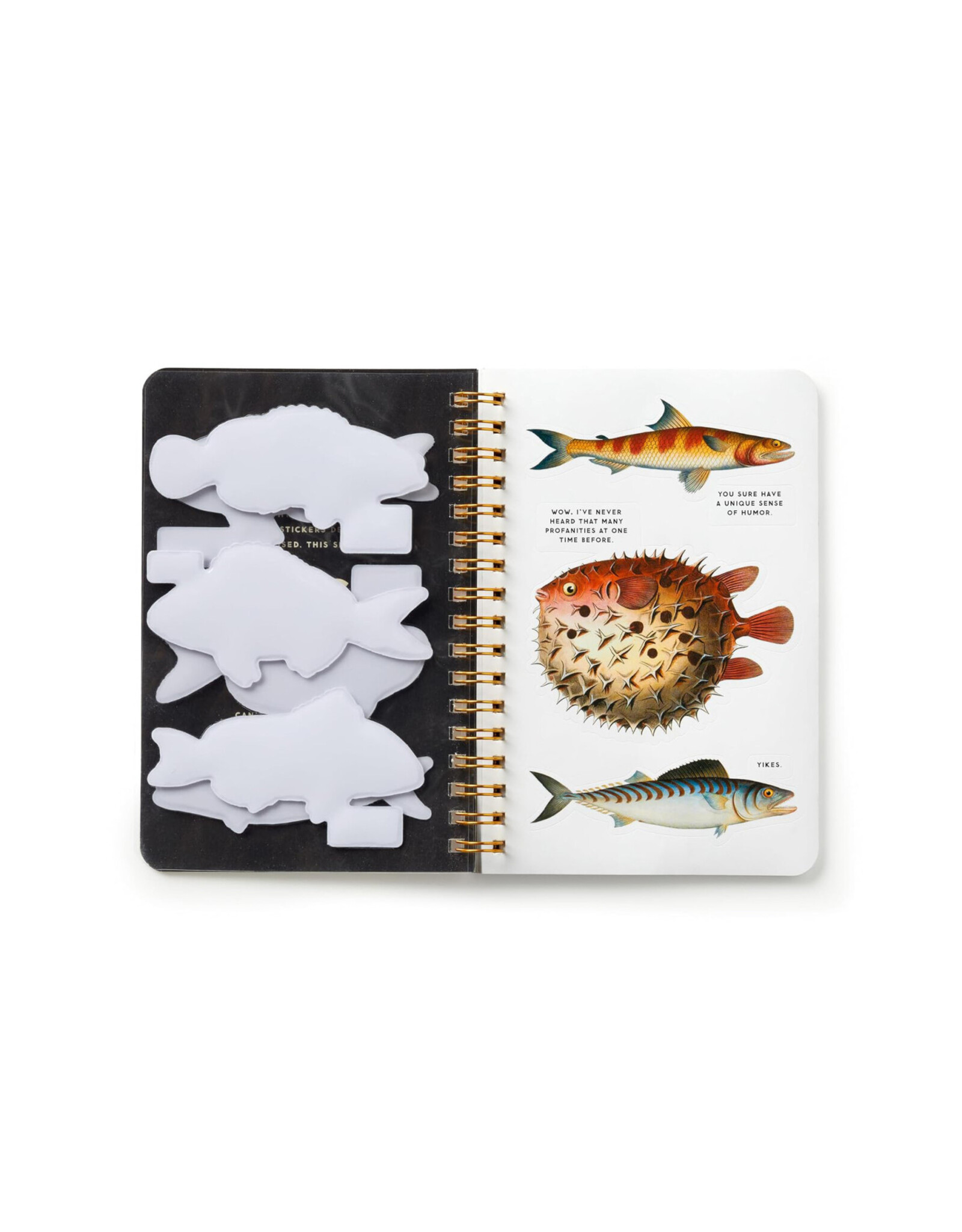 Judgy Fish Sticker Book