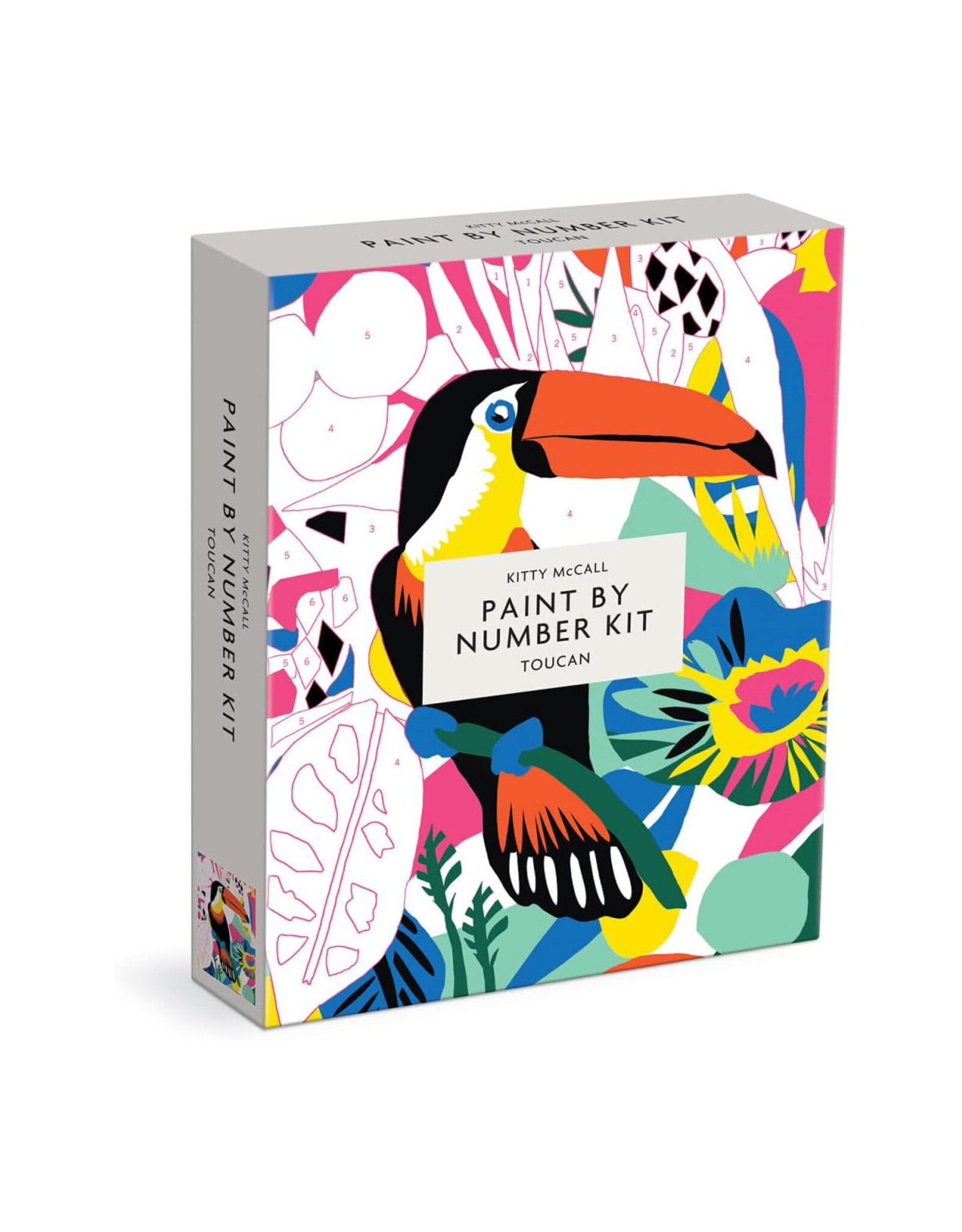 Toucan Paint By Numbers Kit