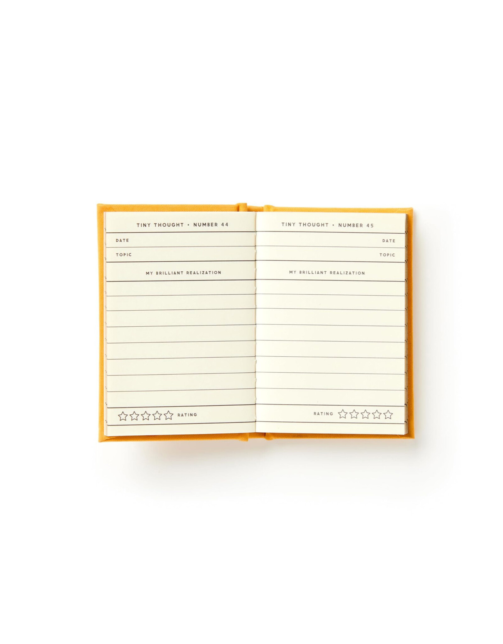 A Tiny Diary For Tiny Thoughts
