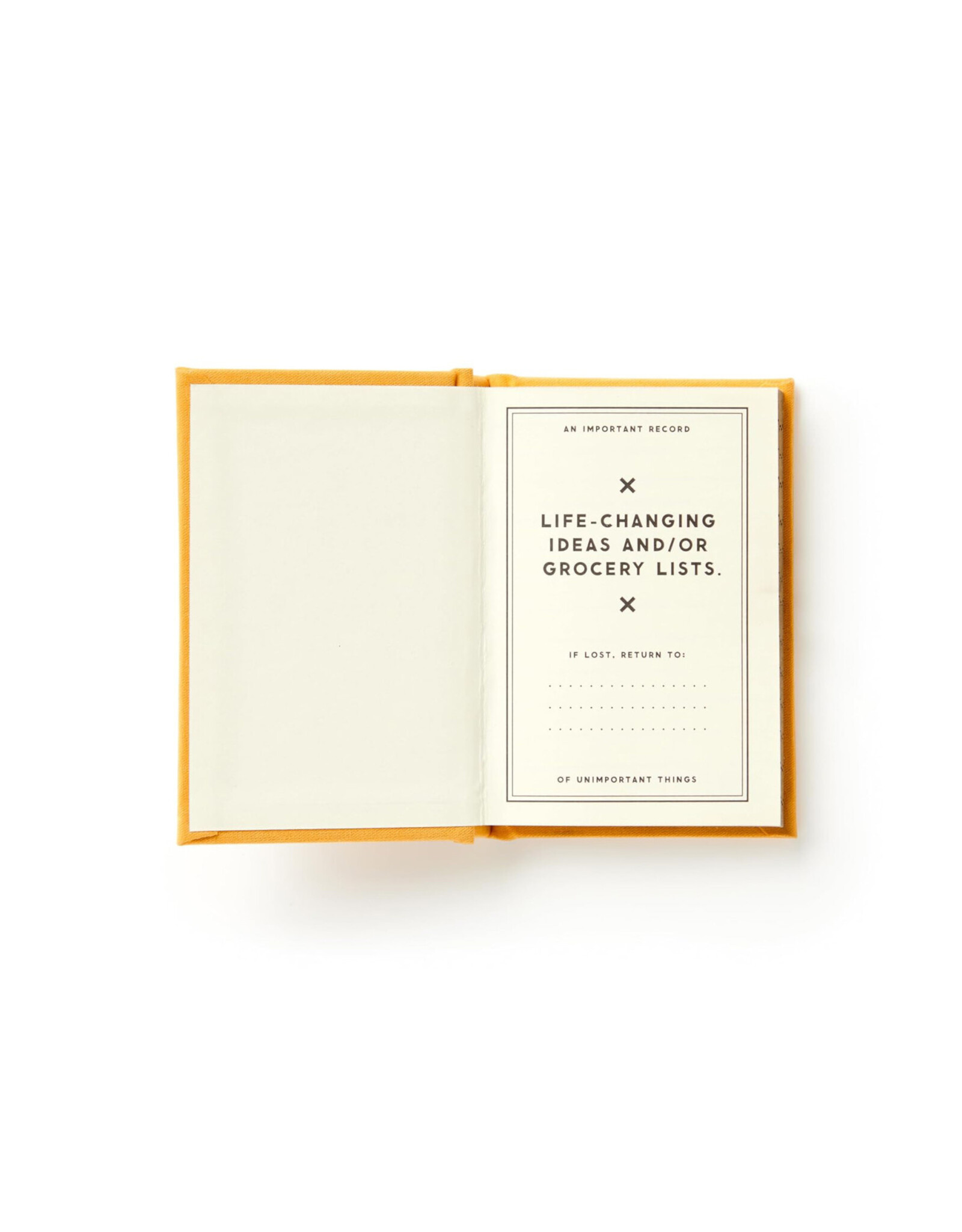 A Tiny Diary For Tiny Thoughts