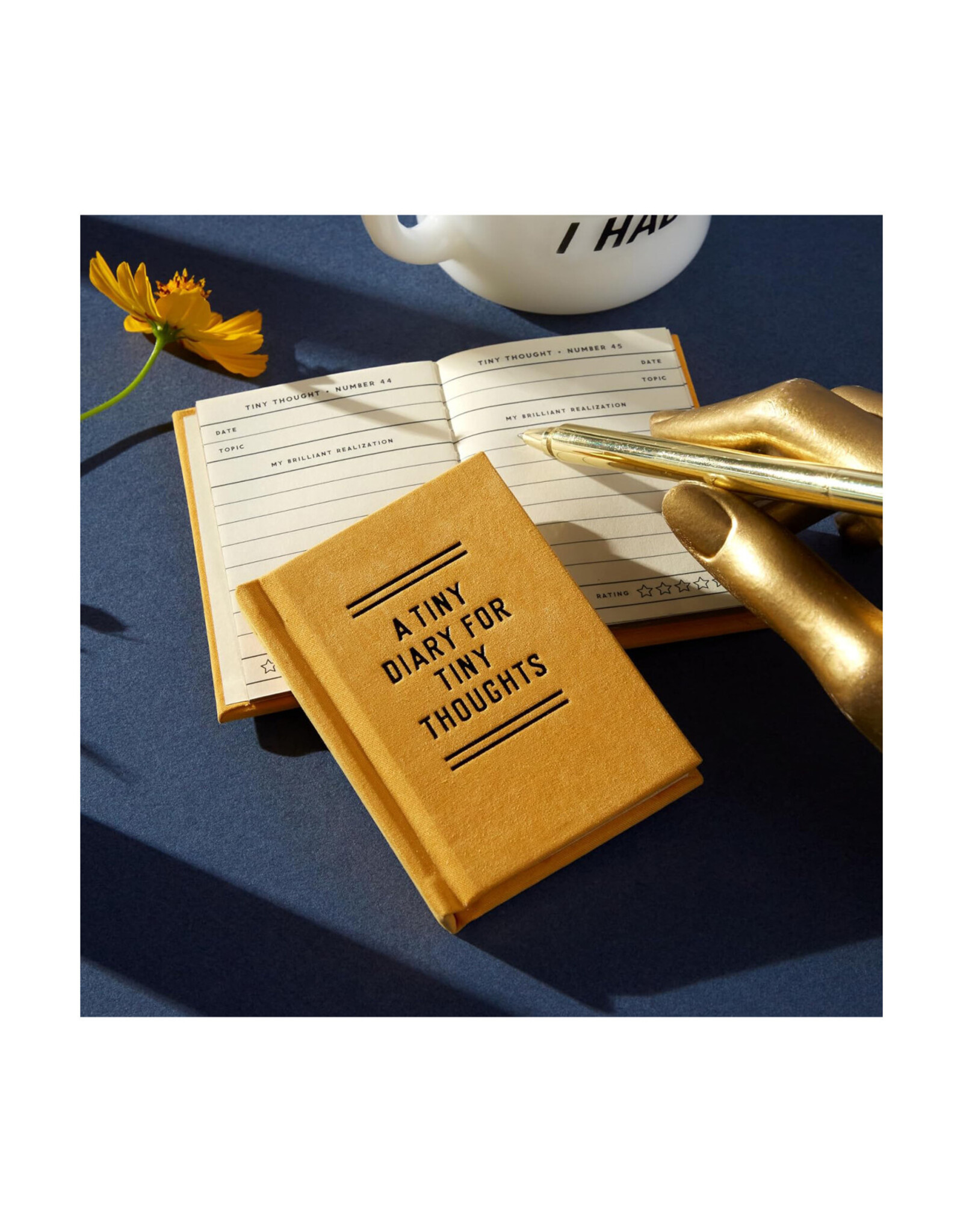 A Tiny Diary For Tiny Thoughts