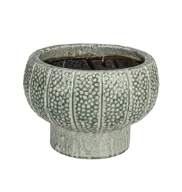 Embossed Terra Cotta Green Pot