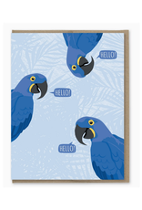 Hello Macaws Greeting Card