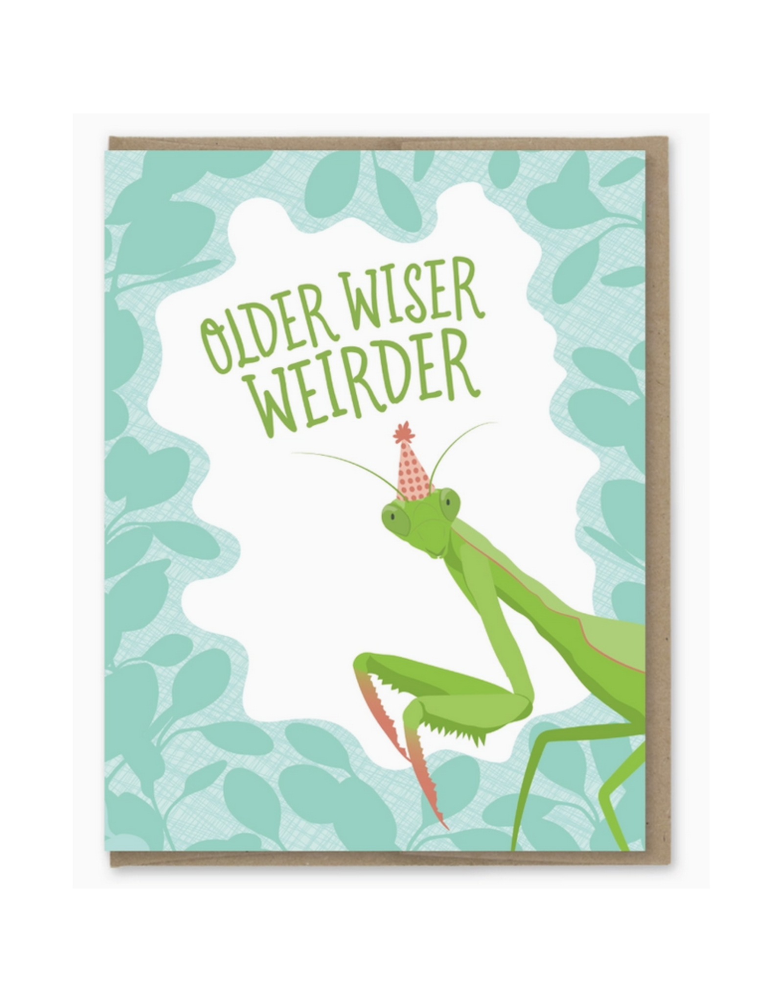 Older Wiser Weirder Insect Birthday Card