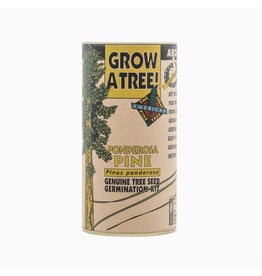 Seed Grow Kit - Ponderosa Pine