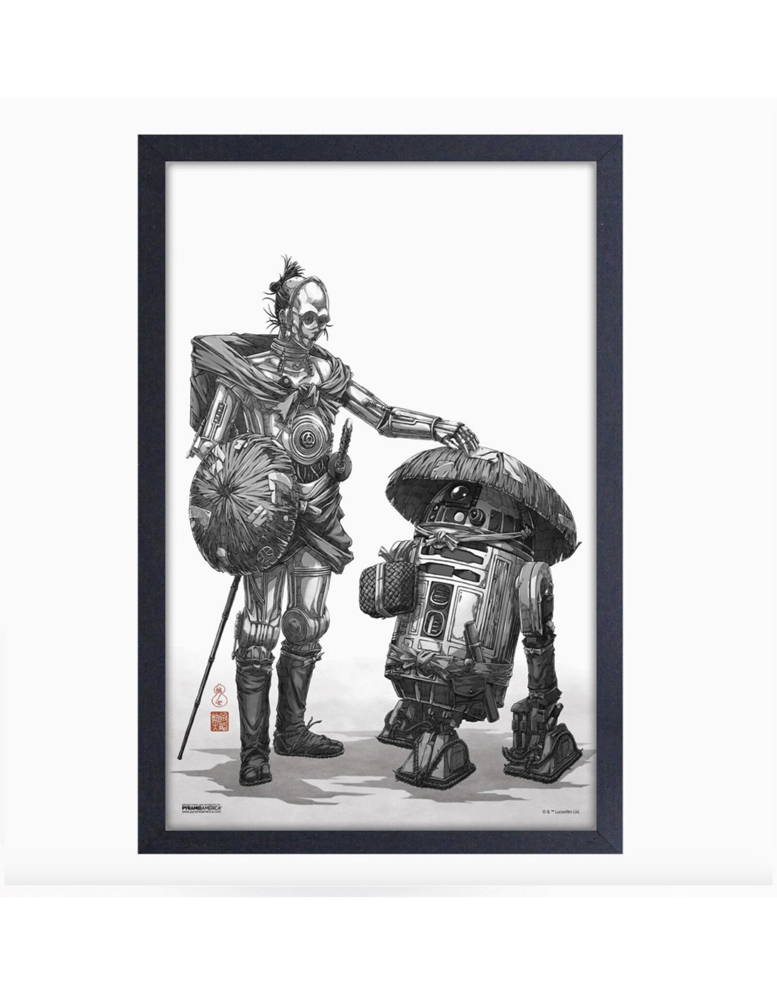 C3PO and R2D2 Framed Print - Curbside Only!