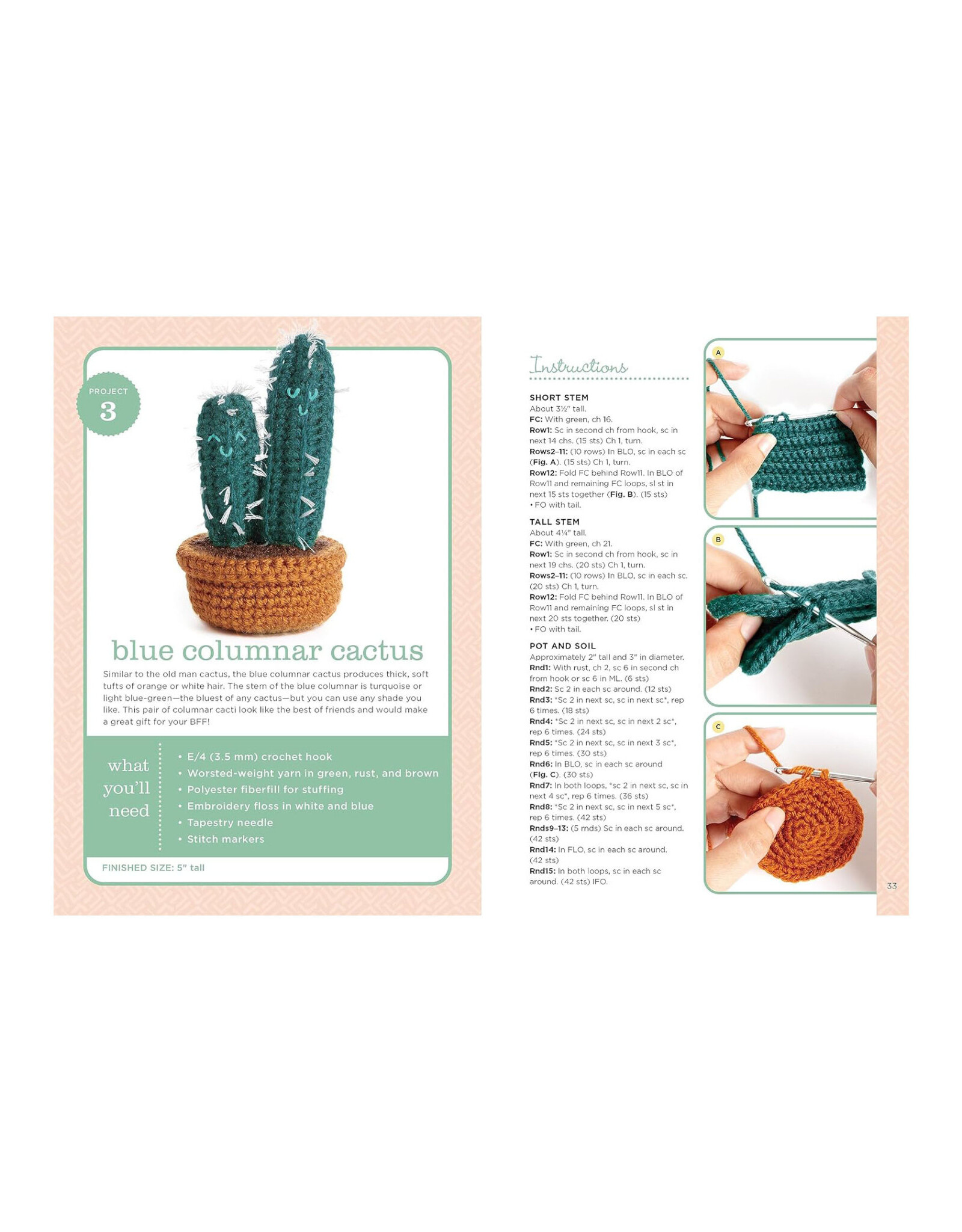 Cuddly Cacti Crochet Home
