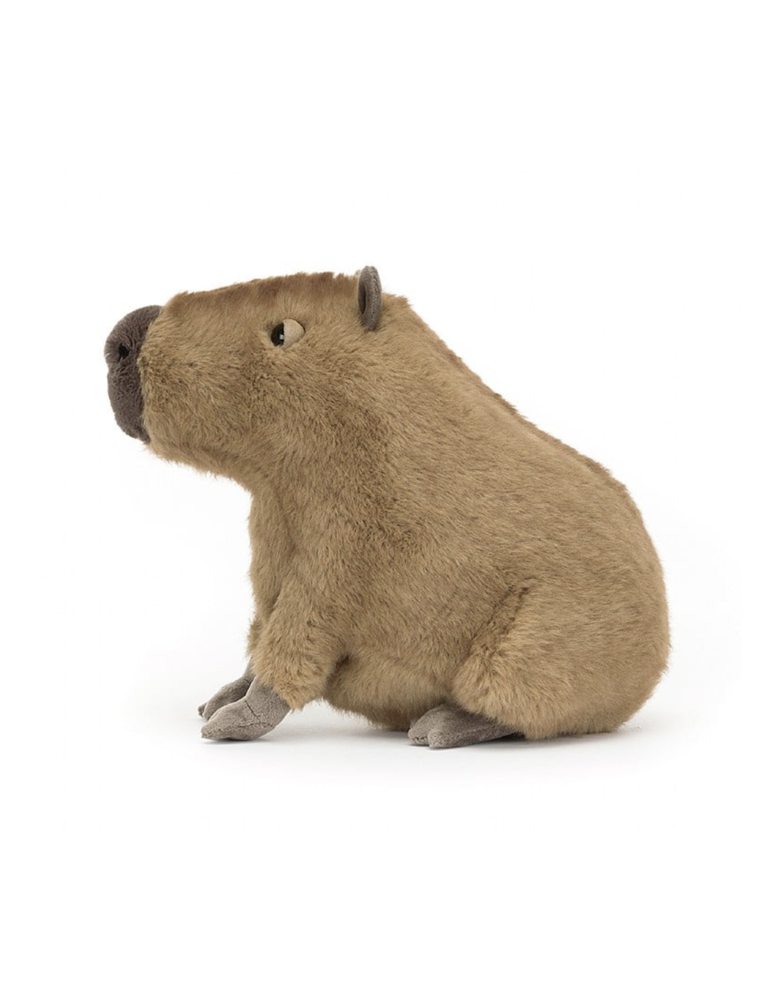 Clyde Capybara