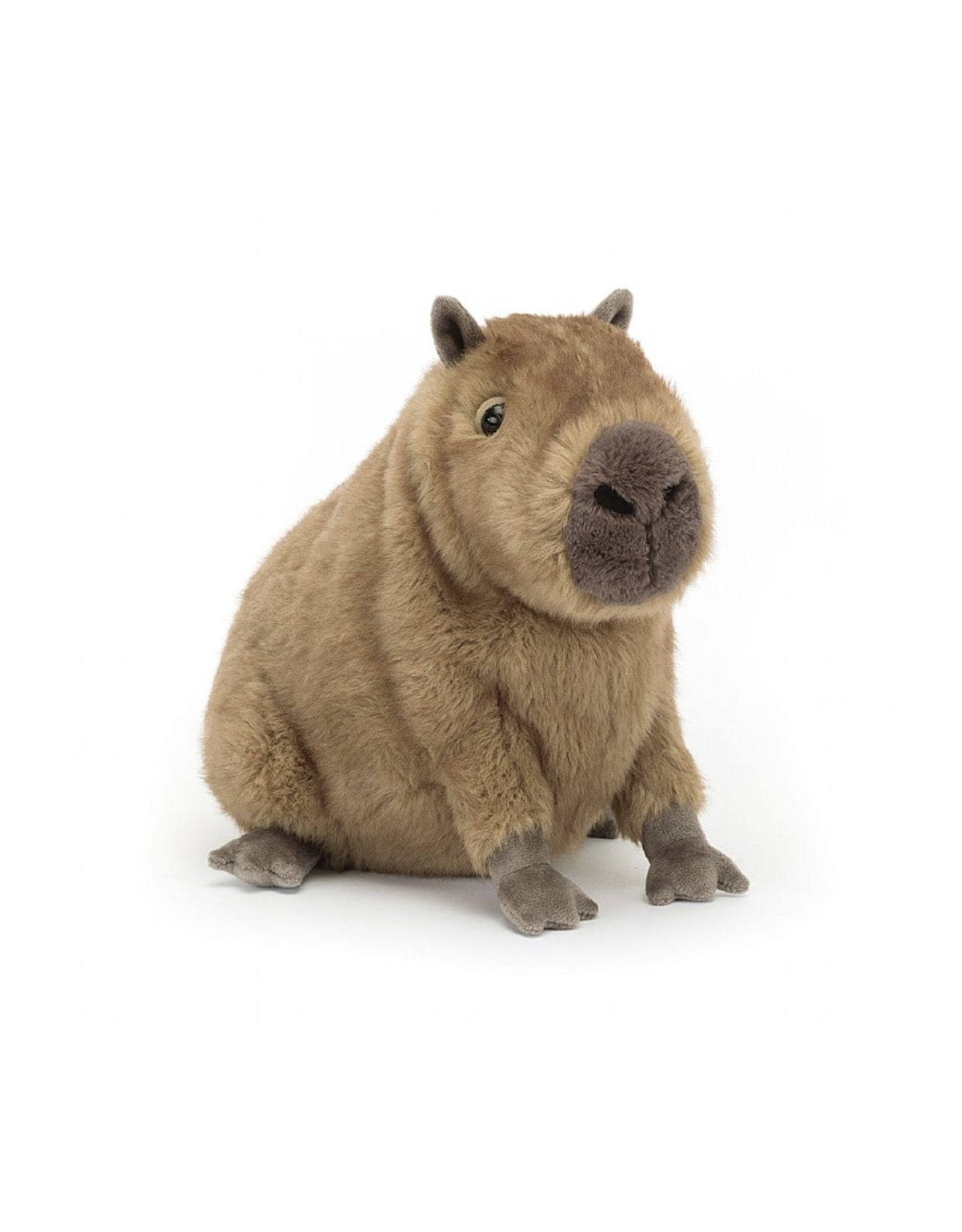 Clyde Capybara