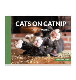 Cats on Catnip Postcard Set - Seconds Sale