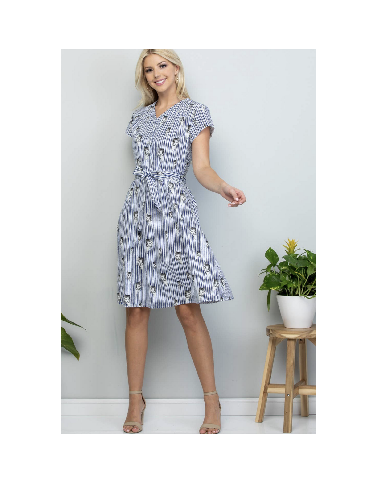 Peek A Boo Grey Kitty Striped Dress