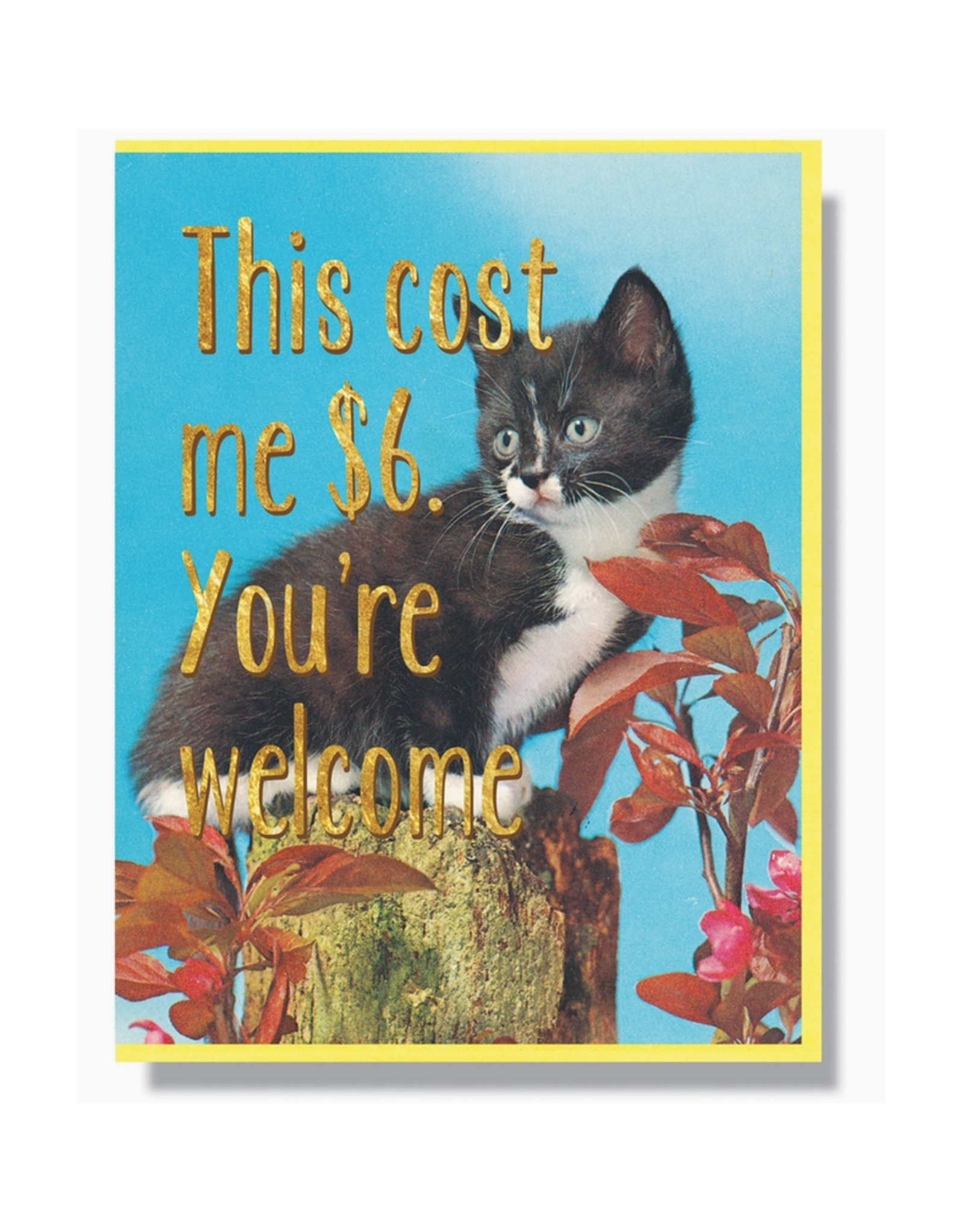 This Cost Me $6. You're Welcome Greeting Card