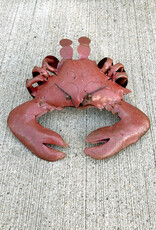 Flat Crab - Small