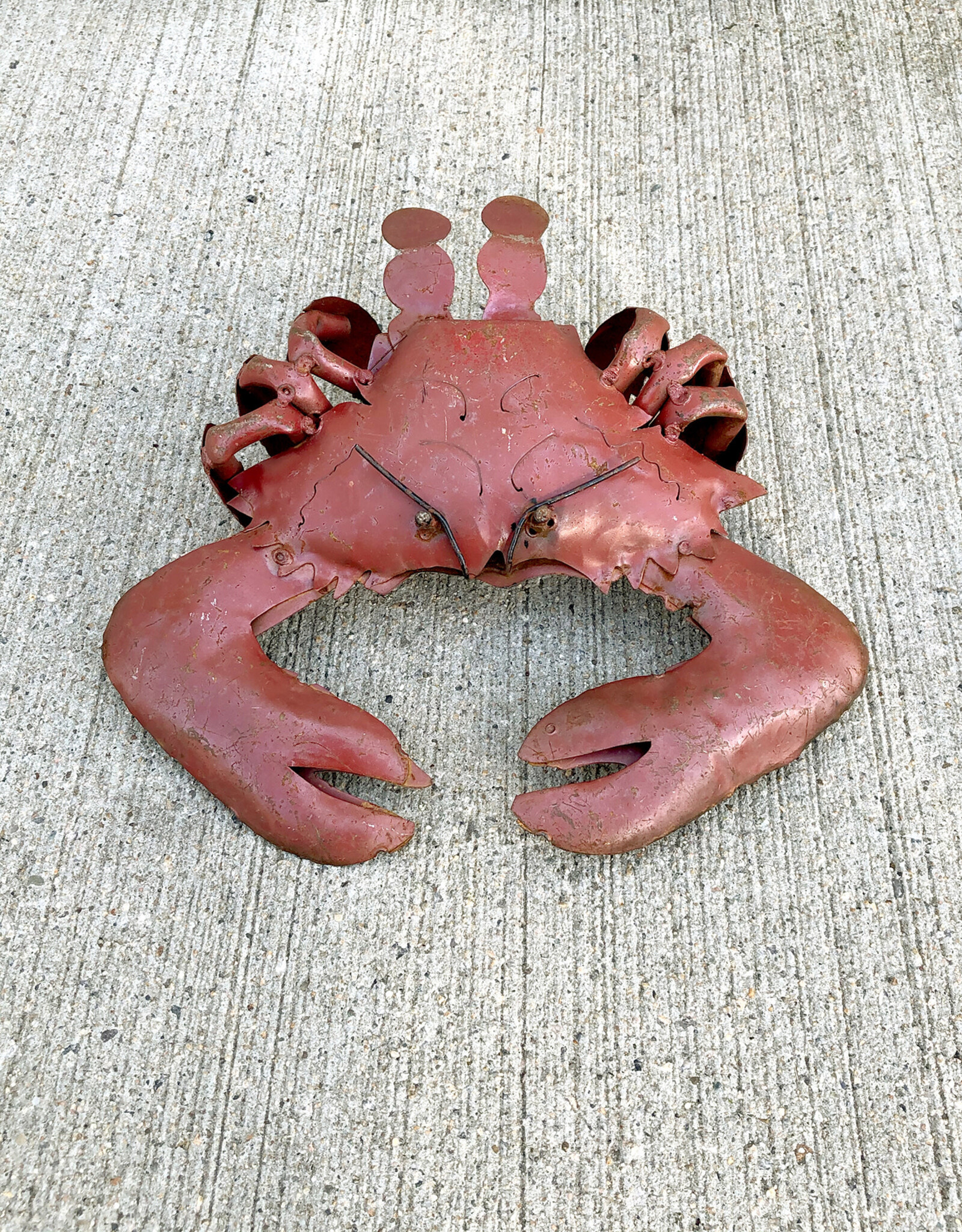 Flat Crab - Small