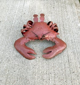 Flat Crab - Small