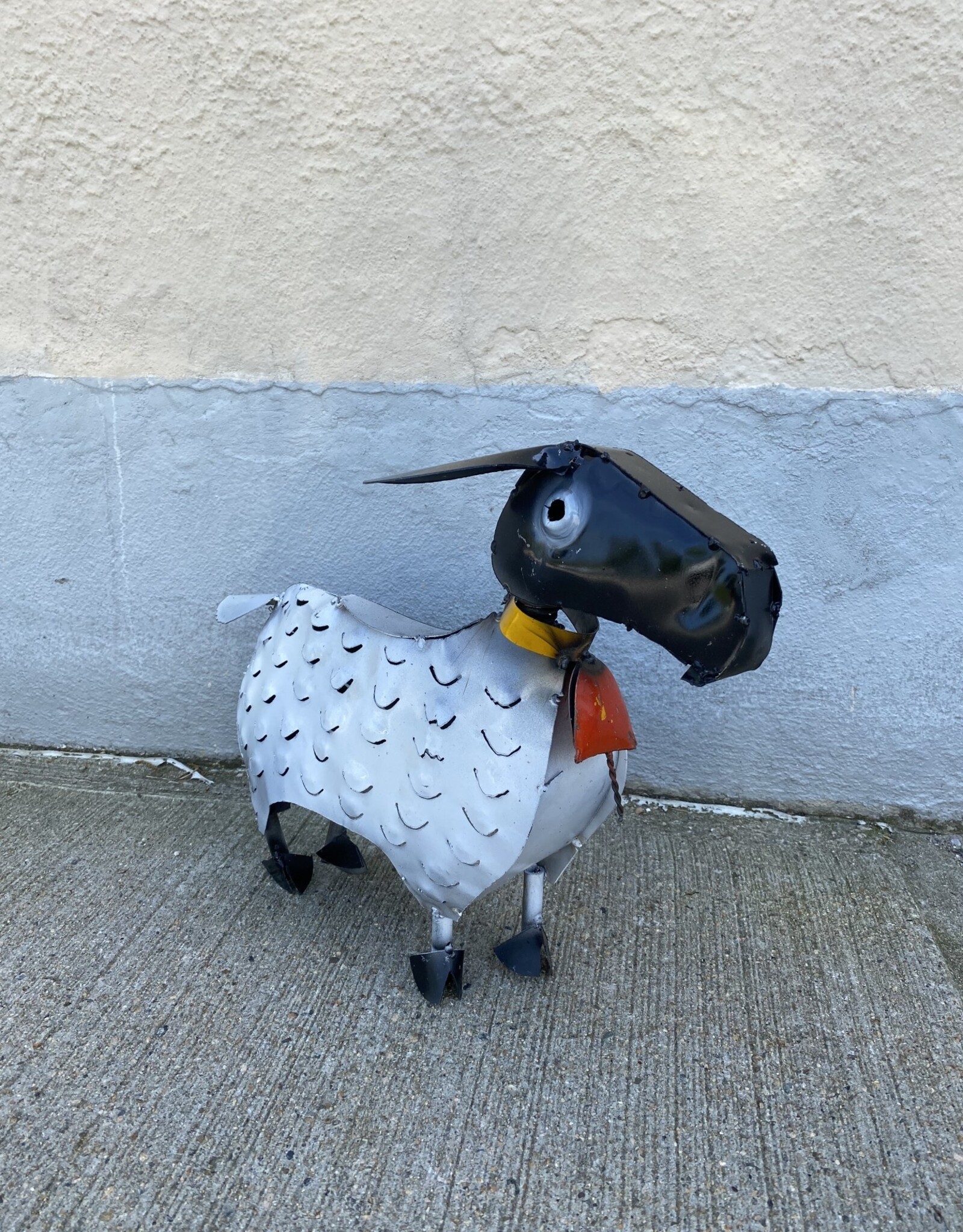 Pet Sheep - Curbside Pick Up Only!