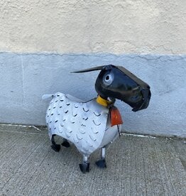 Pet Sheep - Curbside Pick Up Only!