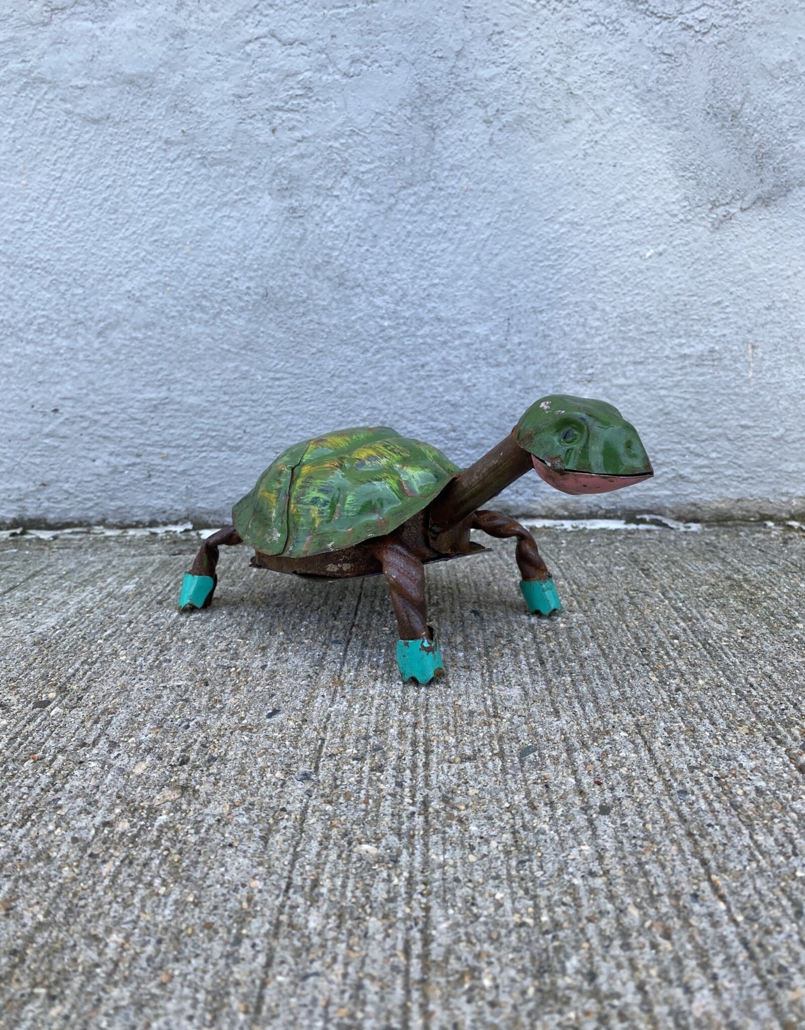 Longneck Turtle - Mini
