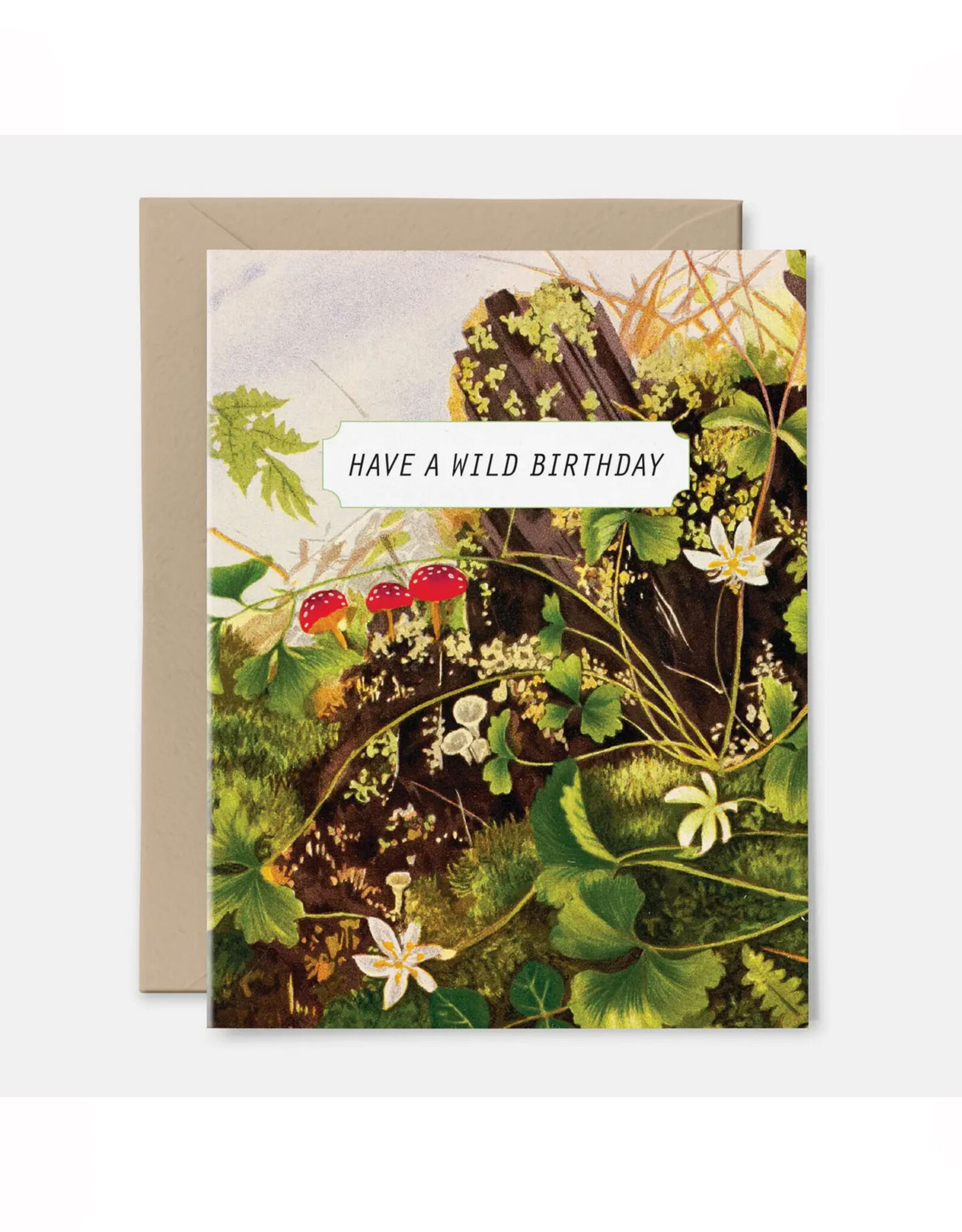 Have A Wild Birthday Mushroom Greeting Card
