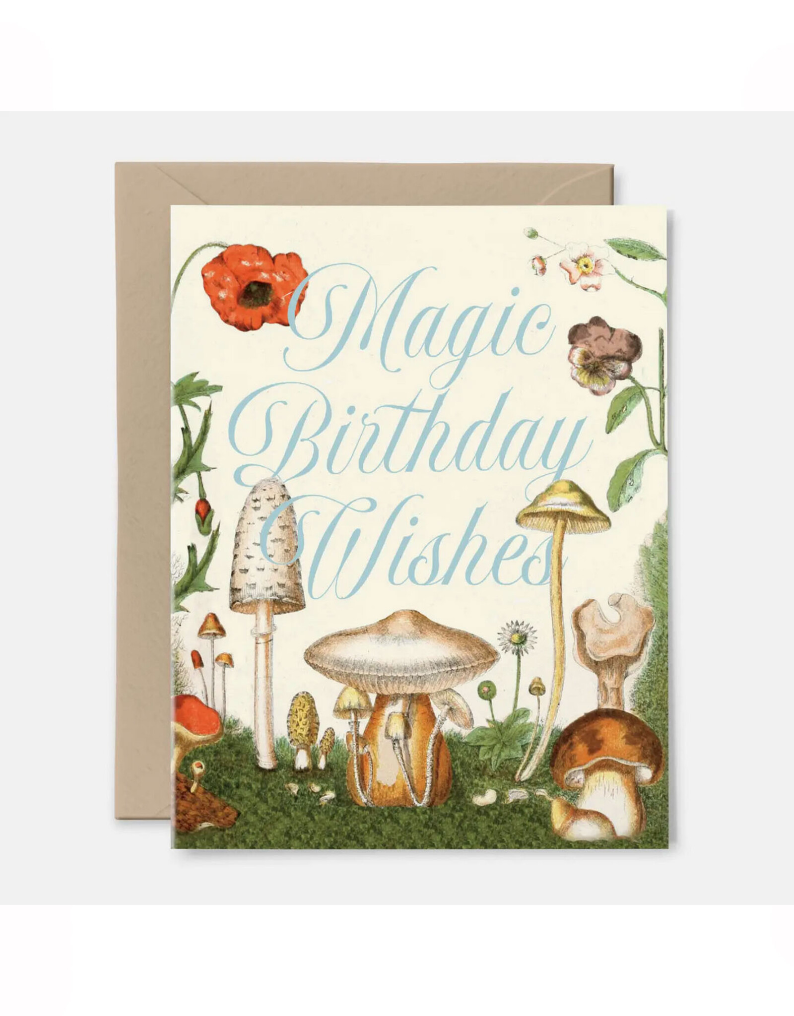 Magic Birthday Wishes Mushroom Greeting Card