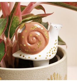 Snail Plant Waterer