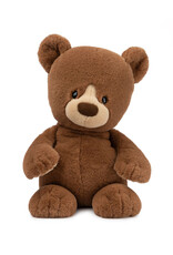 Knox the Brown Bear Plush