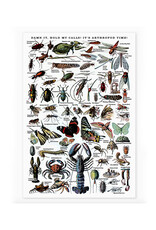 Arthropod Time Risograph Print - 11.5 x 17" Arthropod Time Risograph Print - 11.5 x 17"