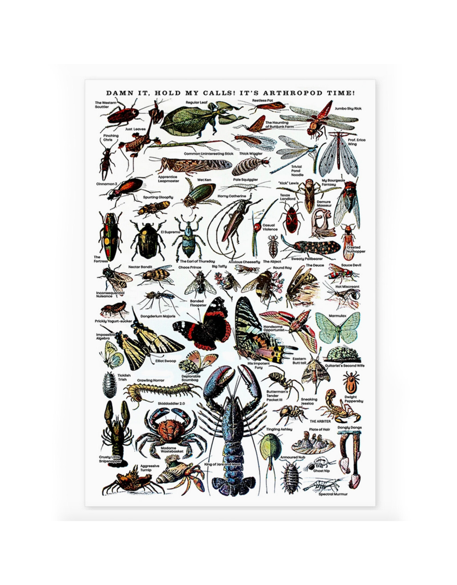 Arthropod Time Risograph Print - 11.5 x 17"