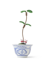 Fortune Cats Potted Plant