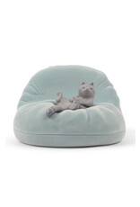 Cat on Blue Beanbag Phone Stand