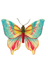 Butterfly 2 Tattoo Pair