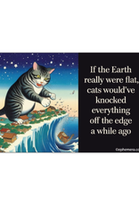 Flat Earth Cats Magnet