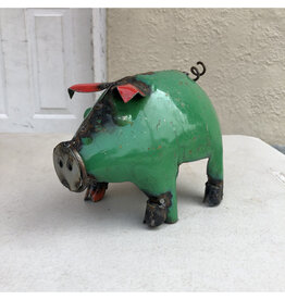 Mini Pig