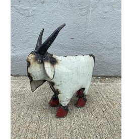 Mini Goat