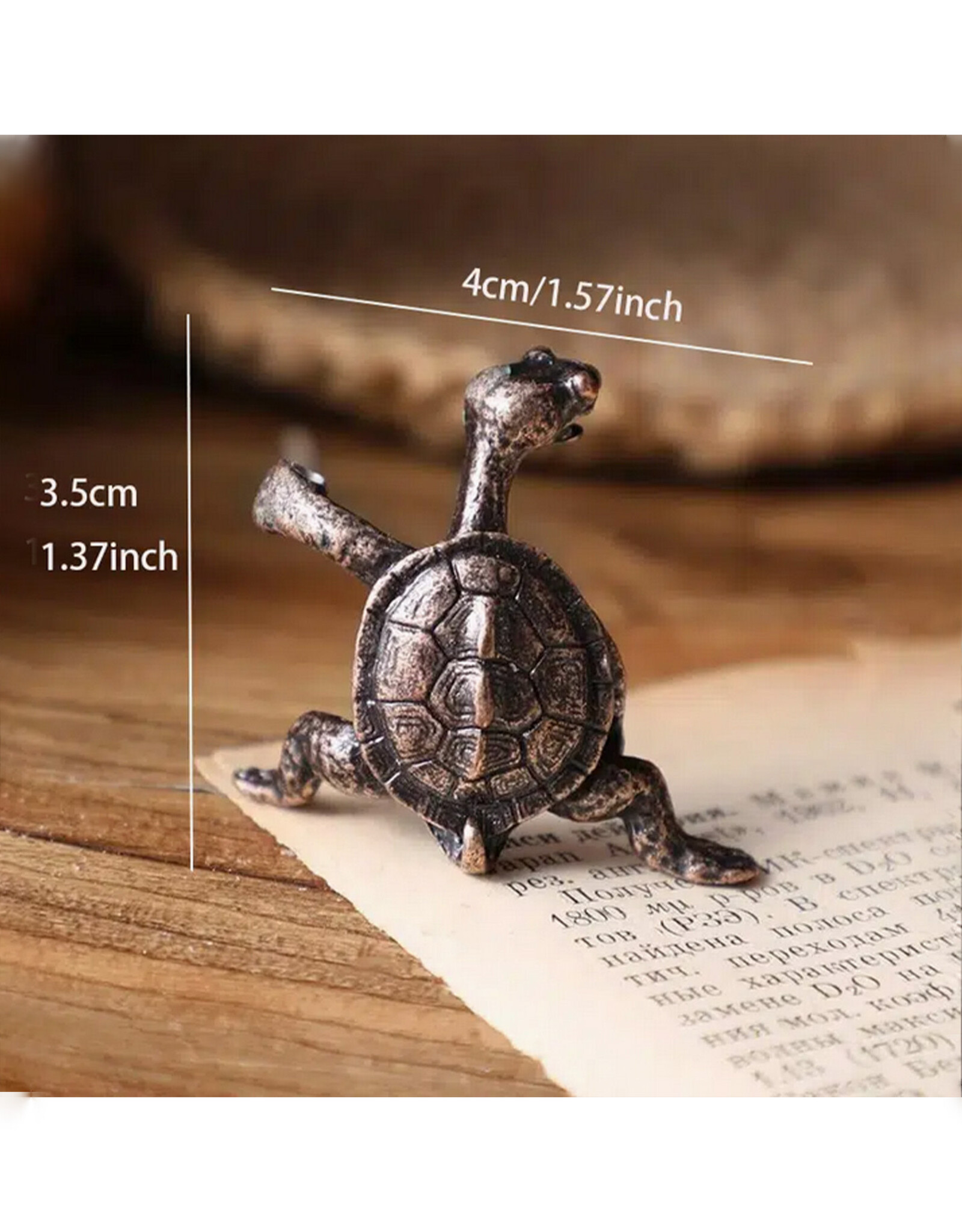 Kung Fu Turtle Incense Holder