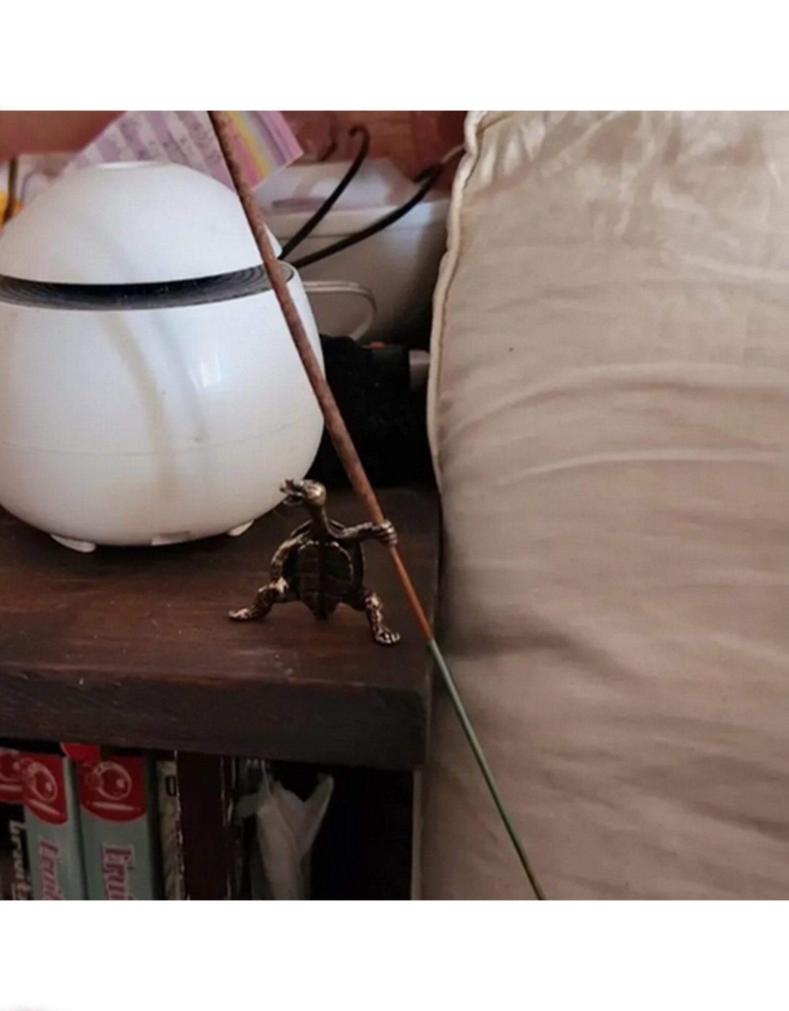 Kung Fu Turtle Incense Holder