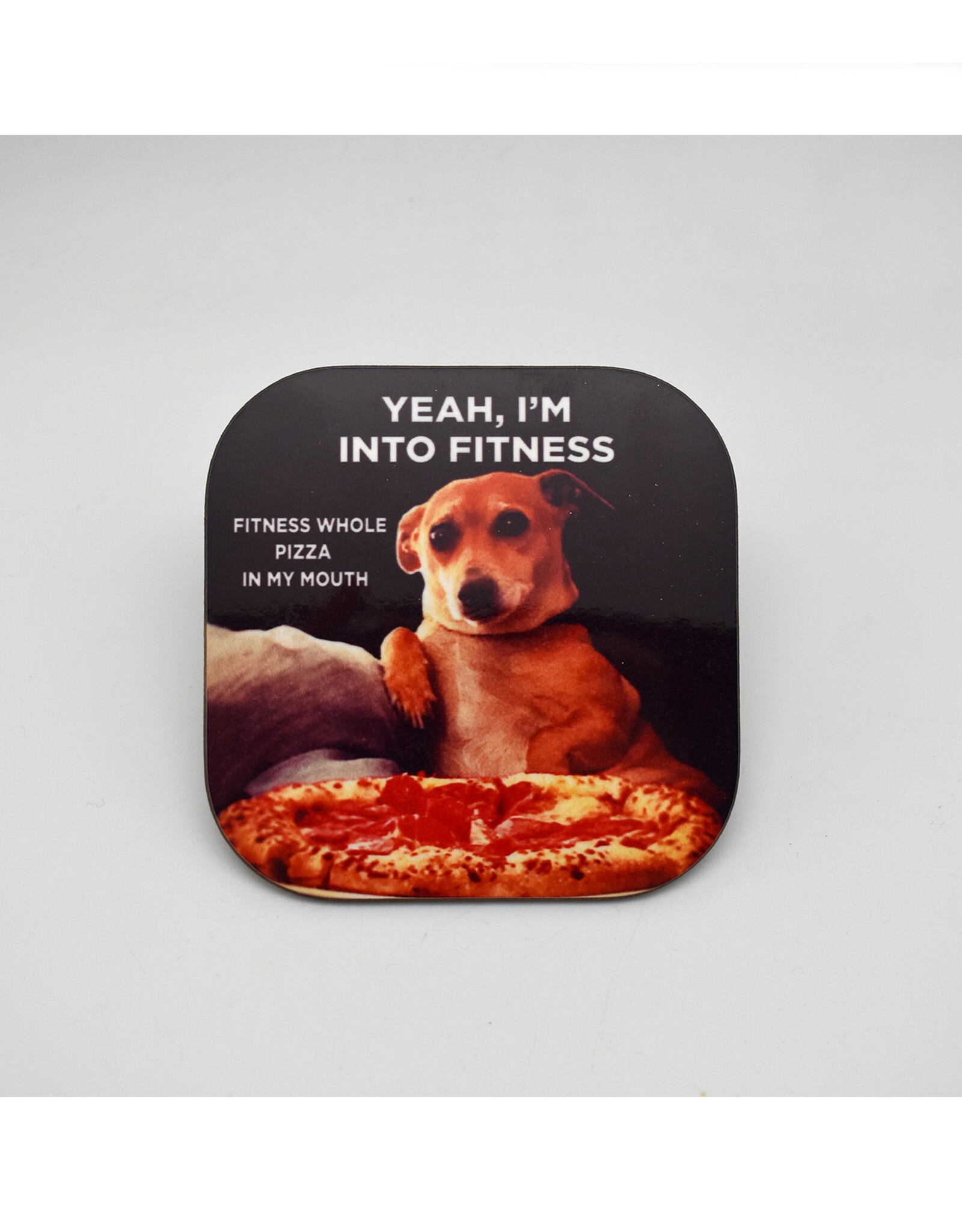 Fitness Pizza Dog Coaster