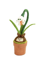Snow Drop Blossom Potted Plant