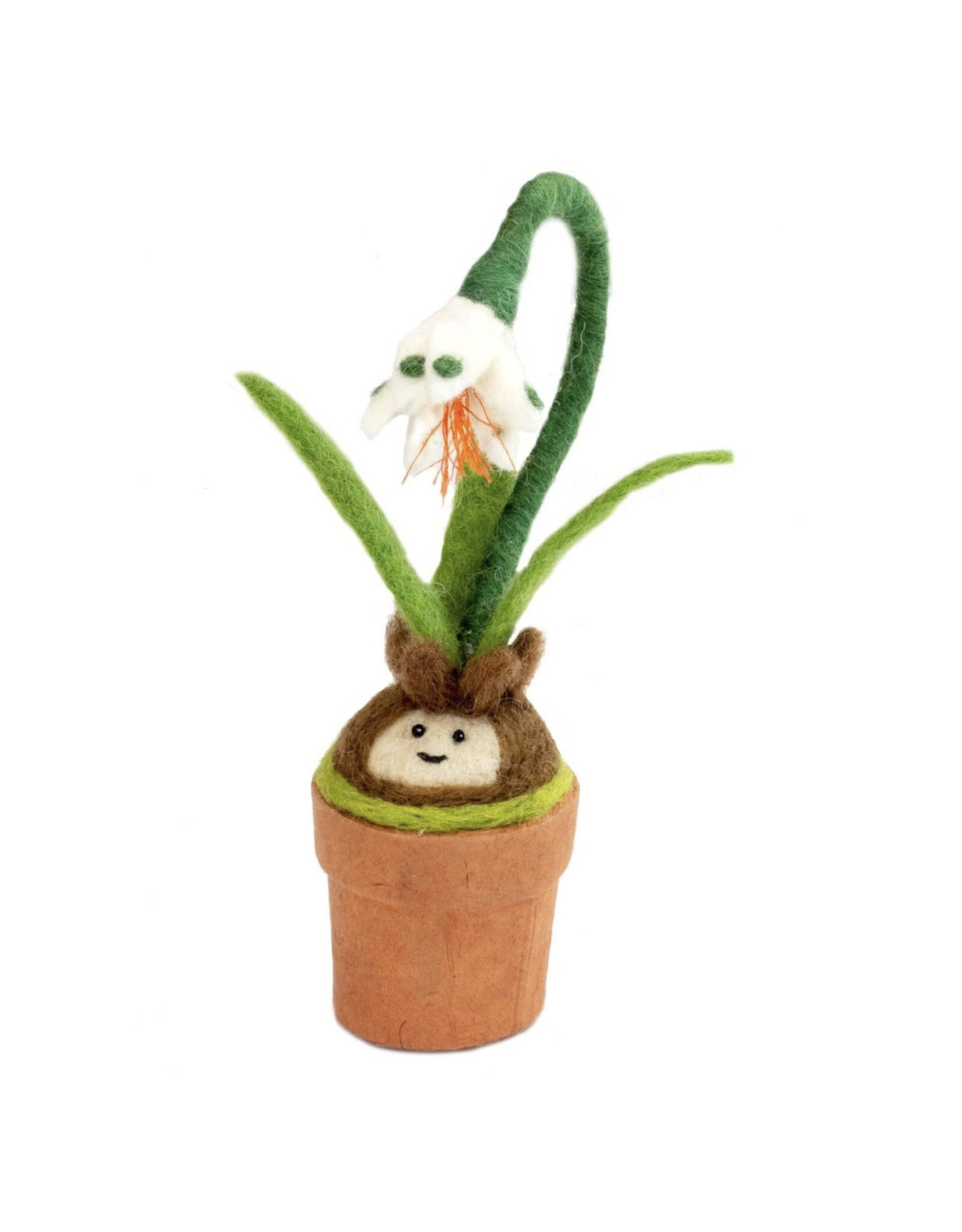 Snow Drop Blossom Potted Plant