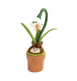 Snow Drop Blossom Potted Plant