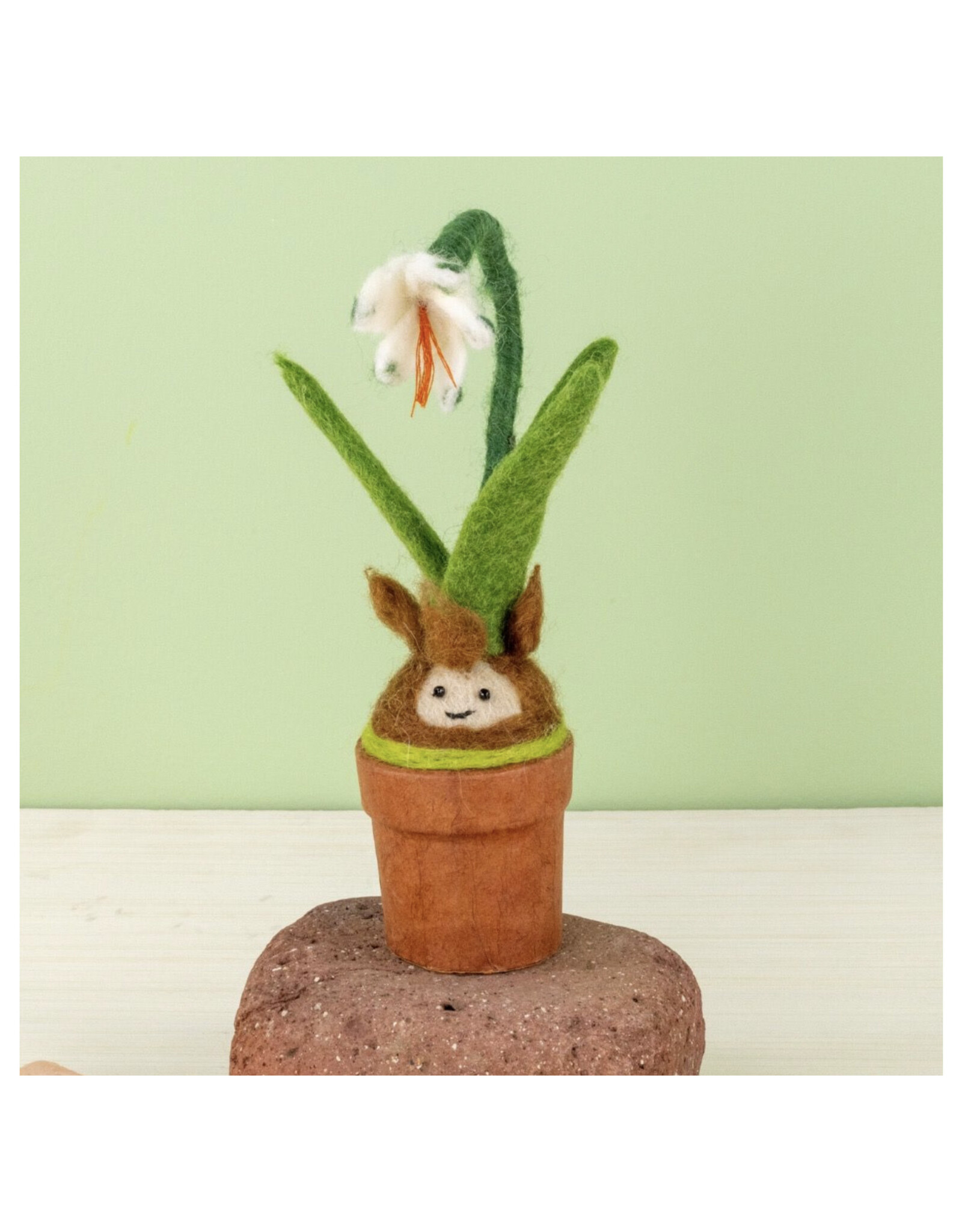 Snow Drop Blossom Potted Plant