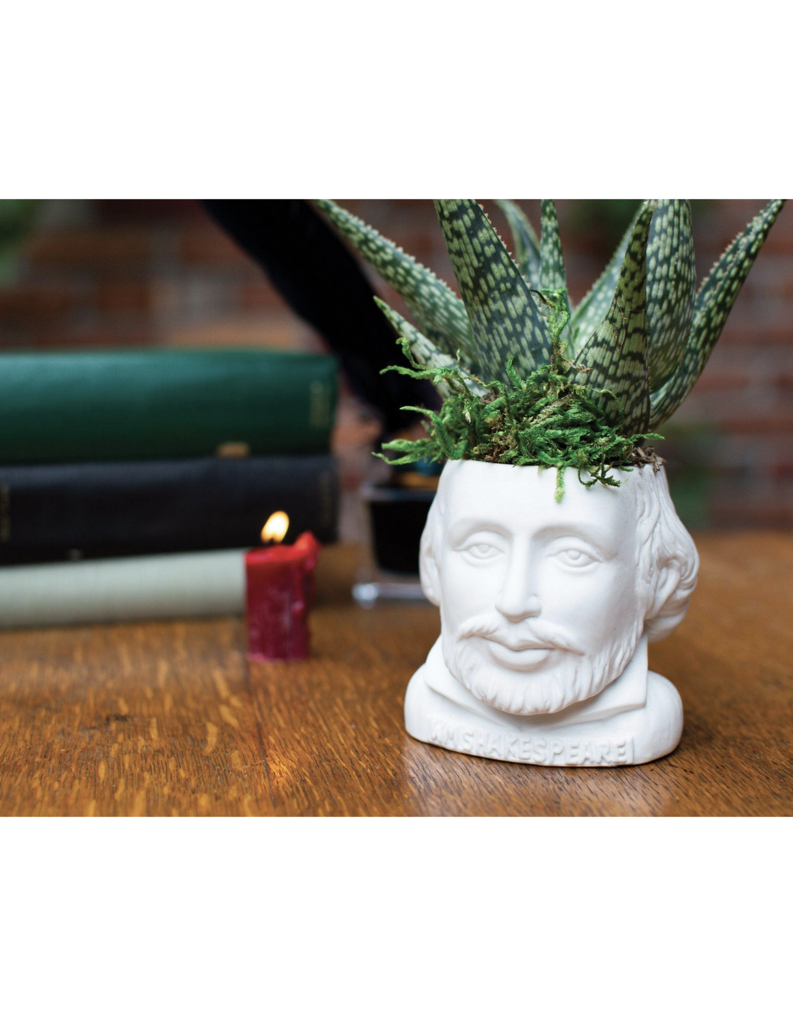 Shakespeare Bust Planter